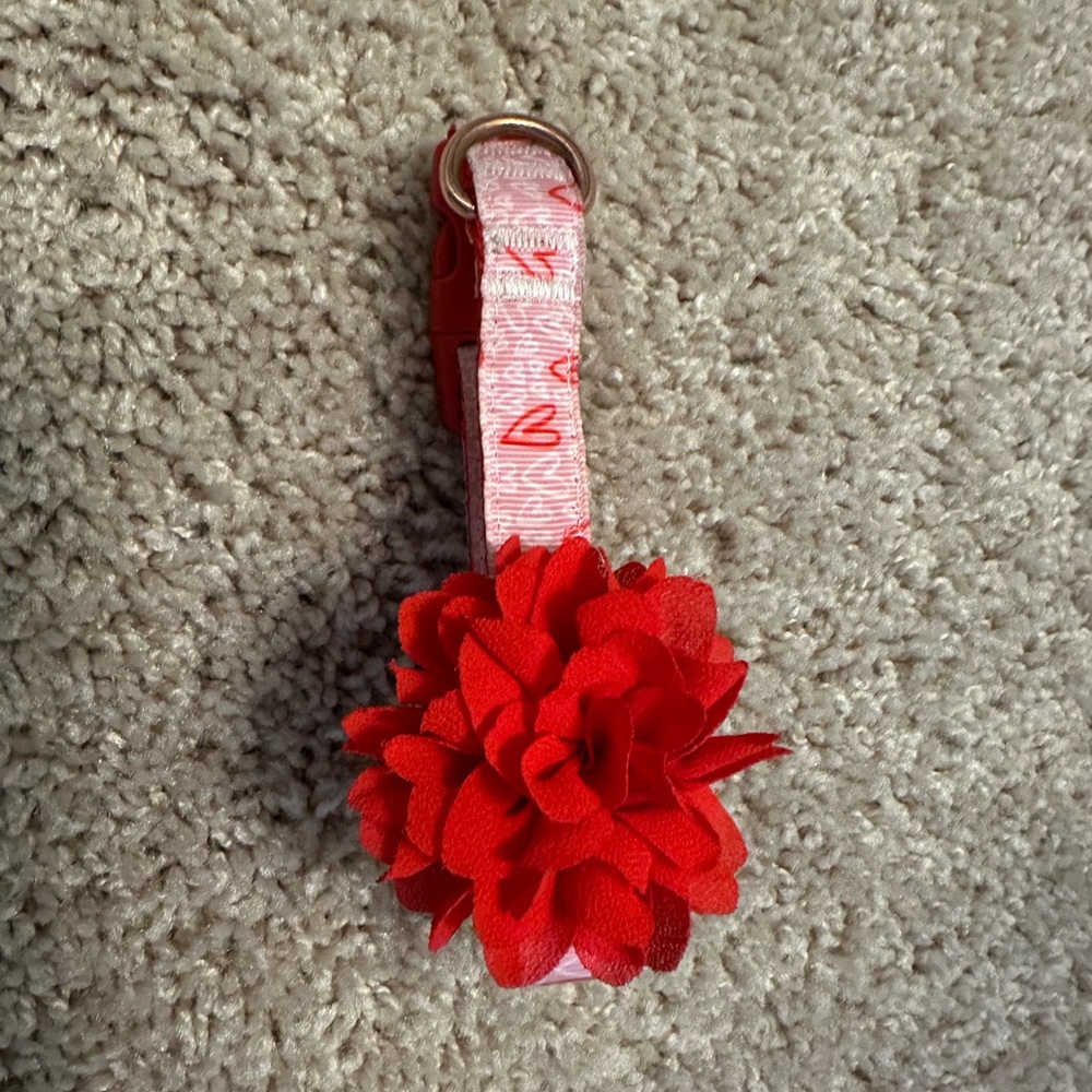 Petsmart Top Paw Valentines Day Dog Collar- Small